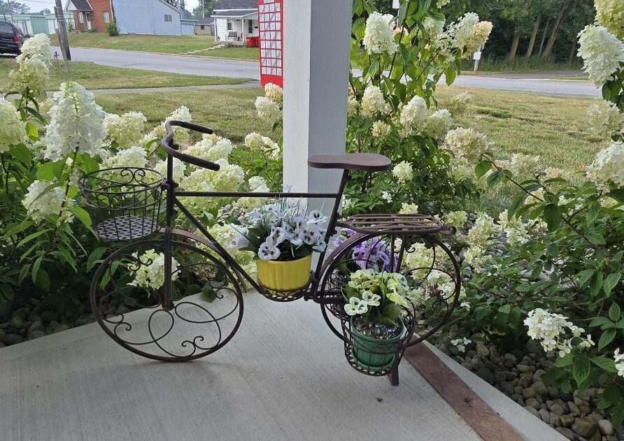 Rusty vintage bicycle planter on a concrete porch, with yellow and green pots and white hydrangeas overflowing from the baskets.