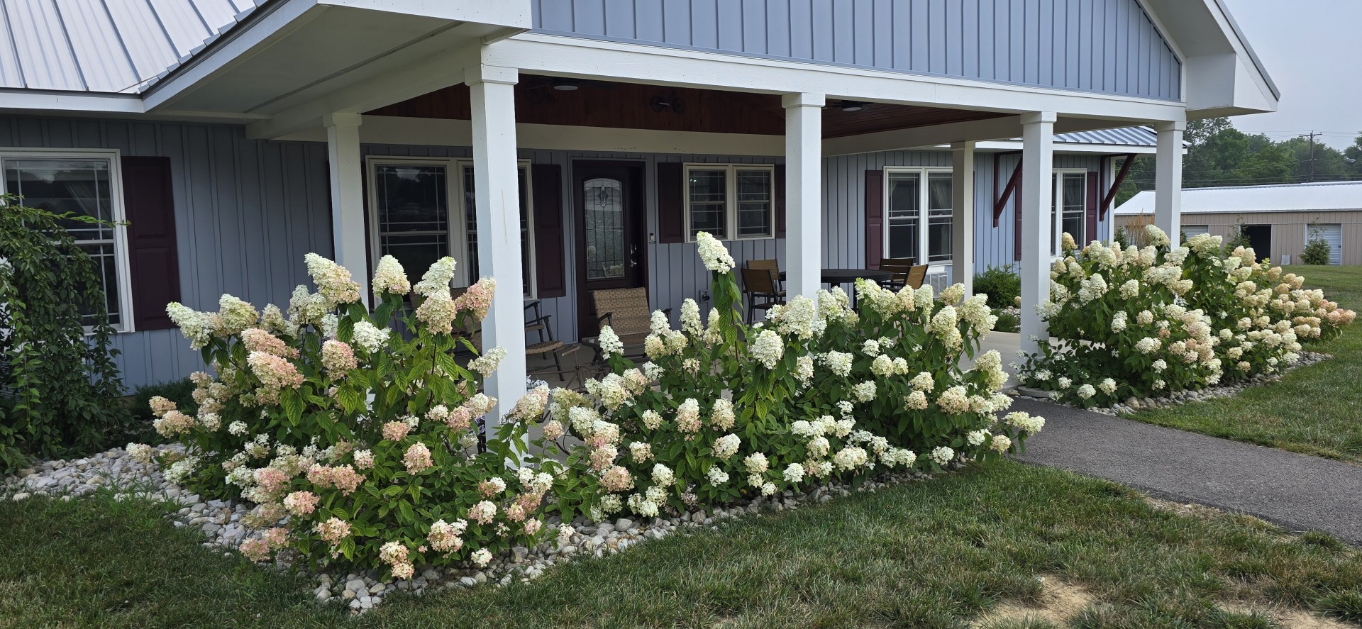 - London Guest House Blue house with a covered porch and white columns, surrounded by pink and white hydrangea bushes along a stone-edged flower bed.